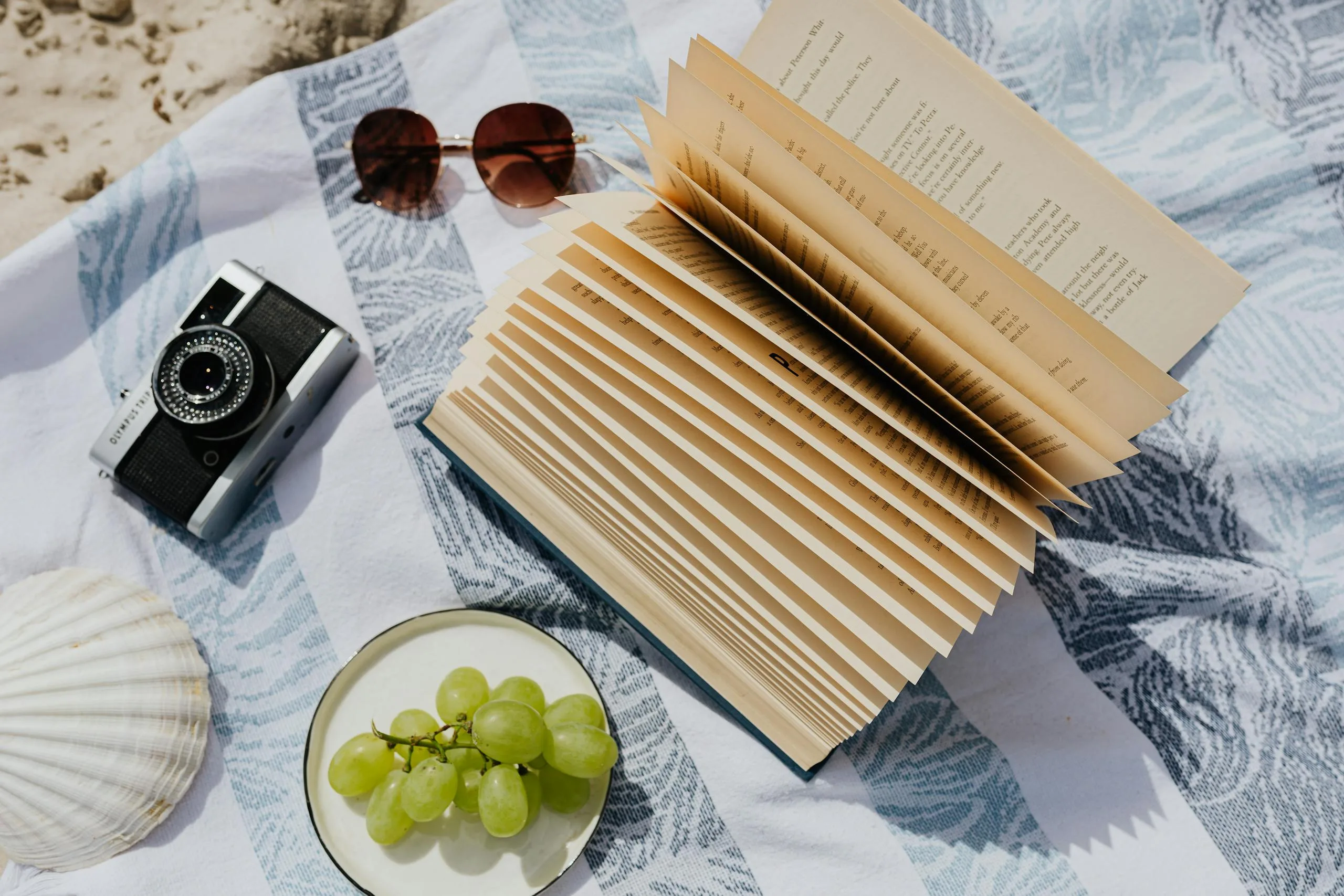 Relaxing summer beach picnic setup with a book, camera, and grapes.